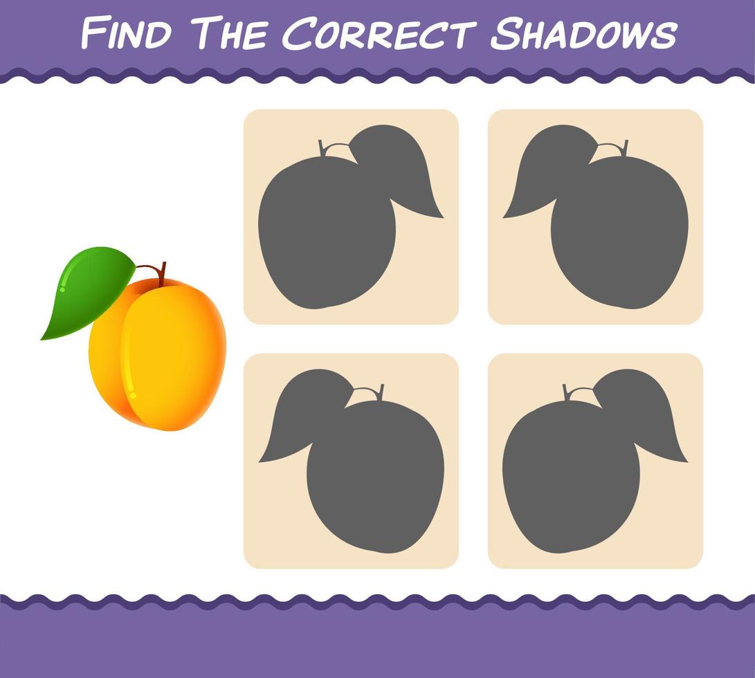 Finden Sie die richtigen Schatten der Cartoon-Aprikose. Such- und Zuordnungsspiel. Lernspiel für Kinder und Kleinkinder im Vorschulalter vektor