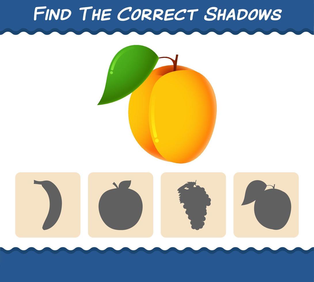 Finden Sie die richtigen Schatten der Cartoon-Aprikose. Such- und Zuordnungsspiel. Lernspiel für Kinder und Kleinkinder im Vorschulalter vektor