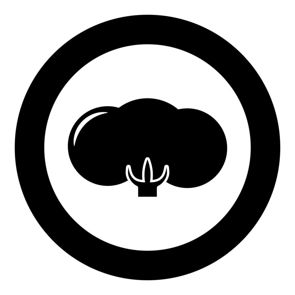 Baumwolle Blütenknospe Symbol im Kreis rund schwarz Farbe Vektor Illustration solide Umriss Stil Bild
