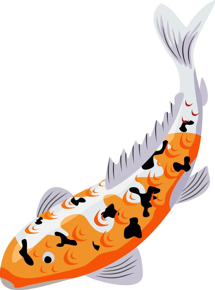 Koi-Karpfen, japanischer Fisch. koreanische tiere. gravierte handgezeichnete Linie Art Vintage Tattoo monochrome Skizze für Label. japanische koi-fisch-vektorillustration. vektor