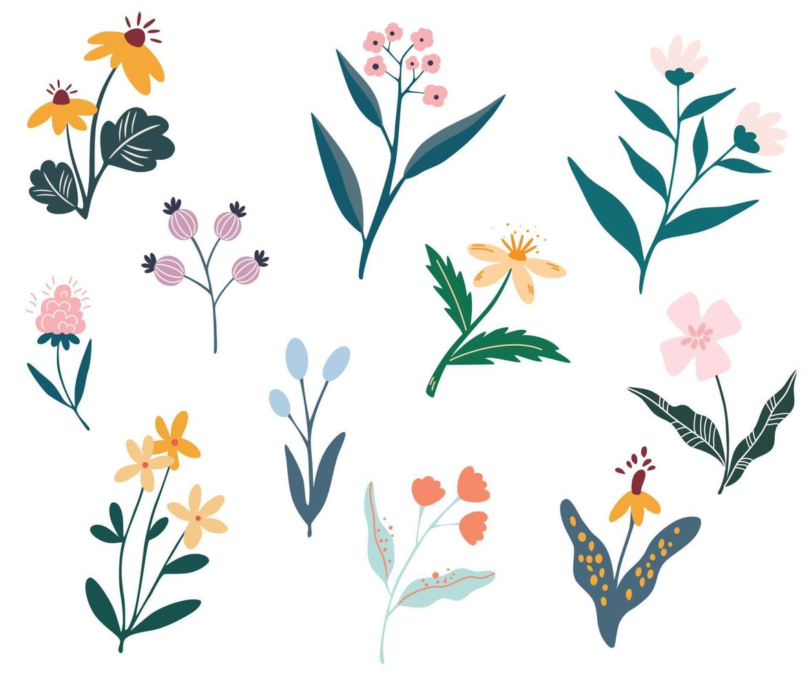 Blumen gesetzt. sammlung bunter floraler elemente in flacher farbe. satz von frühlings- und sommerwildblumen, pflanzen, zweigen, blättern und kräutern. vektorillustration für dekor, website, grafik und shop. vektor