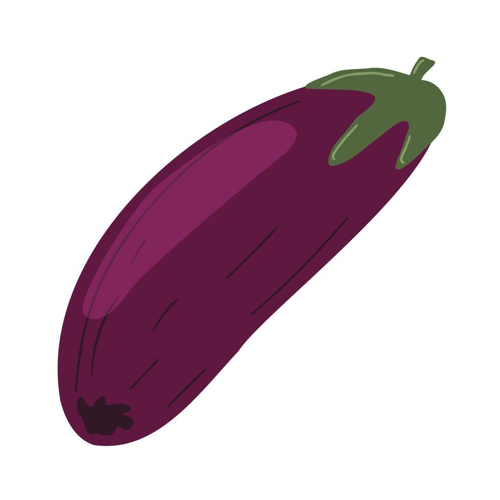 färsk hel aubergine. rå lila grönsak med stam ikon vektor