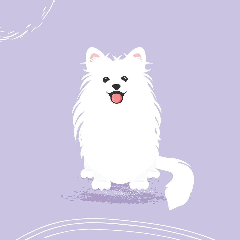 samojed hund ansikte porträtt tecknad illustration. söt vänlig vit luddig hund som ler med tungan ut vektor