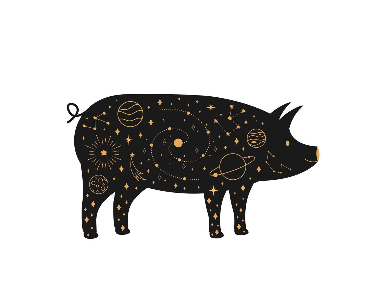 svart magisk gris, mystisk halvmåne esoterisk symbol, konstellationselement. häxigt svart husdjur. vektor