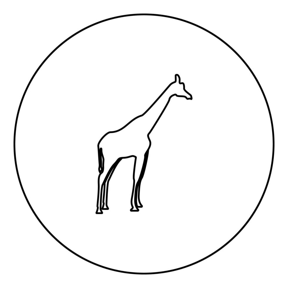 Giraffe schwarzes Symbol im Kreisumriss vektor