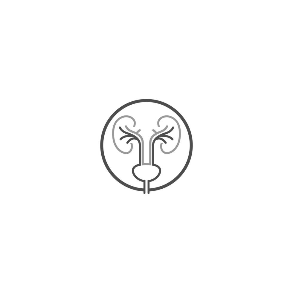 Urologie-Logo, Nieren-Logo-Symbol gesund vektor