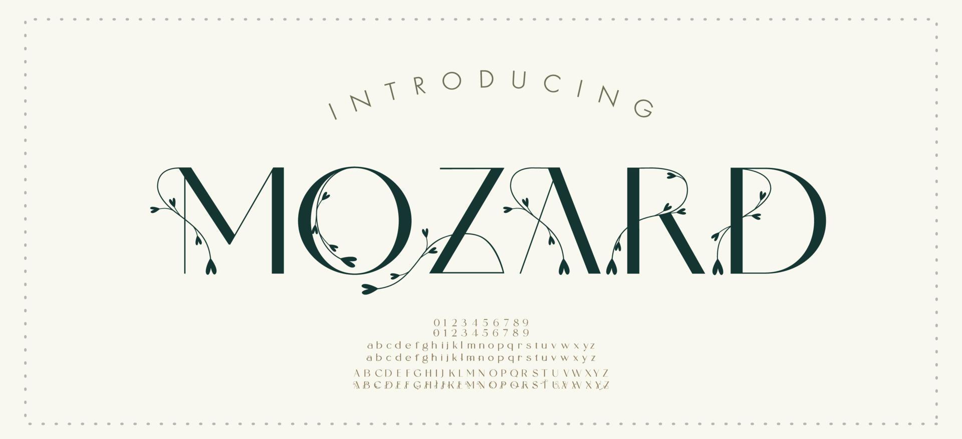 elegante Hochzeit Alphabet Buchstaben Schriftart und Nummer. Typografie klassischer Luxus-Schriftzug Serifen-Schriften dekoratives Vintage-Retro-Konzept. Vektor-Illustration vektor