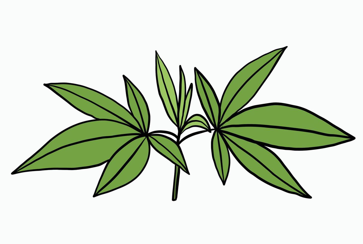 Einfachheit Cannabispflanze Freihandzeichnen flaches Design. vektor