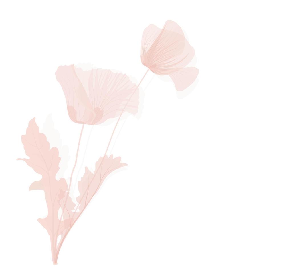 blommigt kort med delikata vallmo, akvarell isolerade illustration blommor och grenar, kant. mall för inbjudan eller gratulationskort. isolerad på en vit bakgrund. vektor