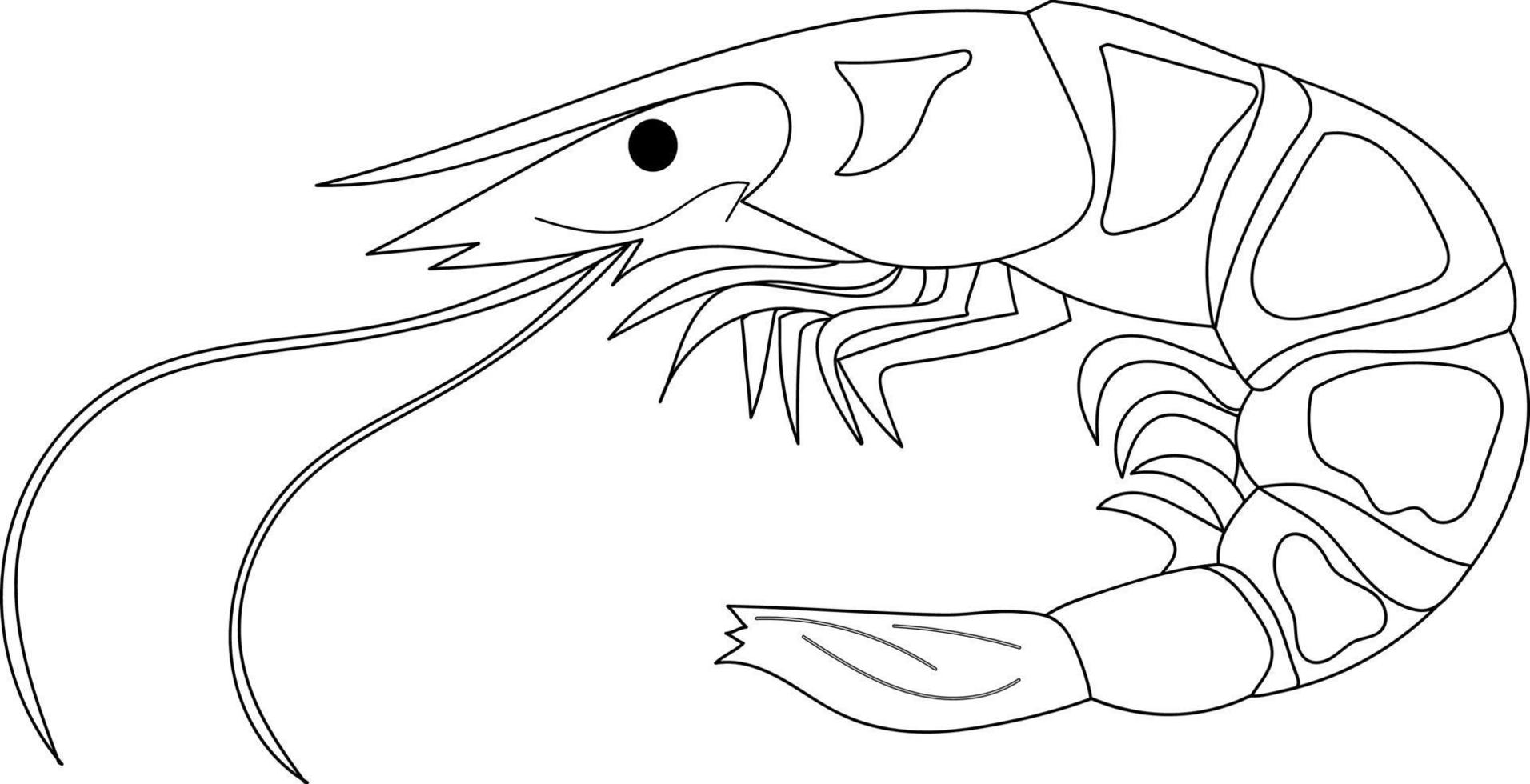 räkor i form av en siluett av tunna linjer. färg, japanskt kök. isolerade illustration på vit bakgrund vektor