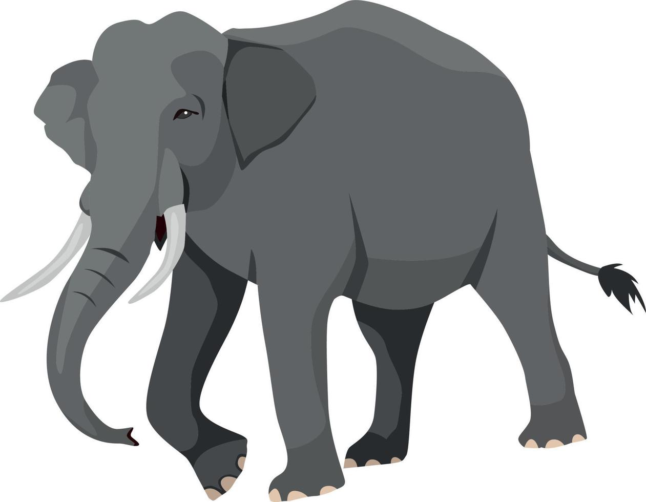 Elefant zu Fuß auf weißem Hintergrund vektor