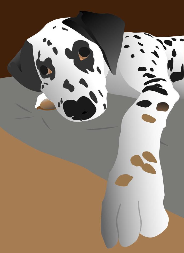 närbild dalmatisk valp, hunden vill hålla din hand vektor