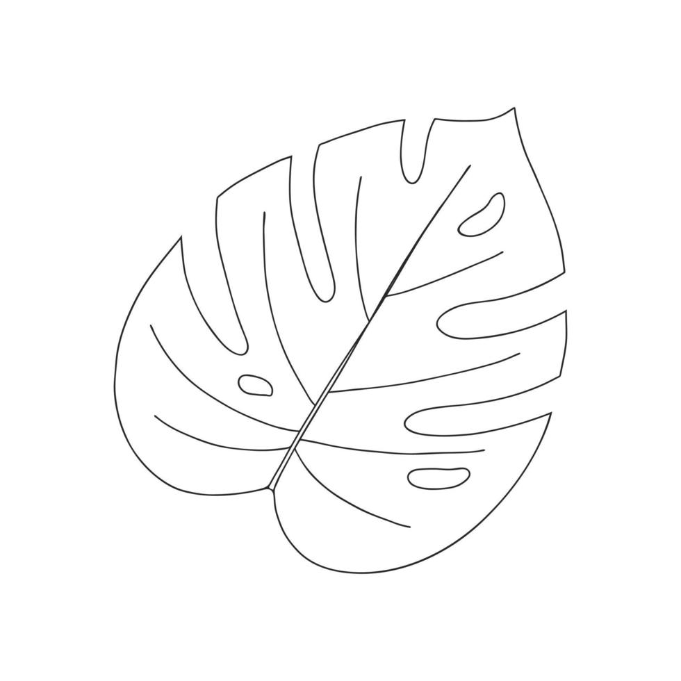 lista över monstera. botaniska dekorativa element. tropisk växt. enkel svart och vit vektorillustration, handritad, isolerad på en vit bakgrund. vektor