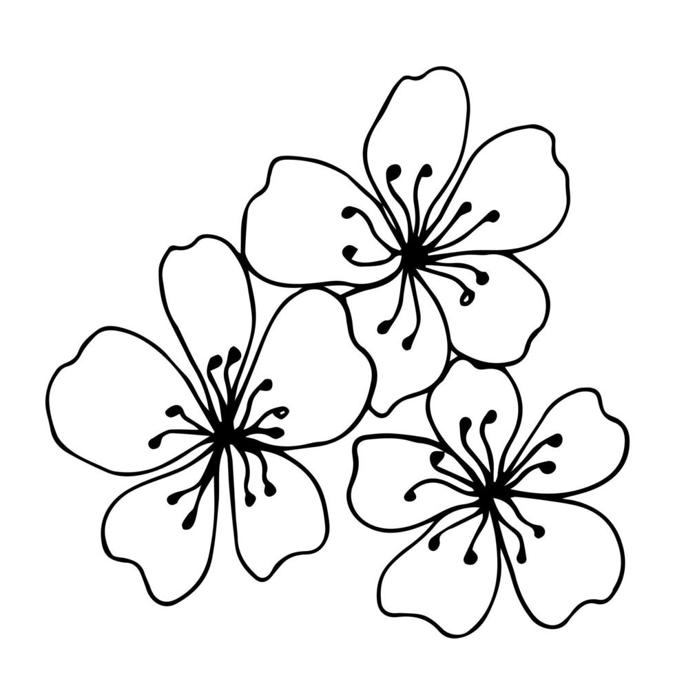 Sakura-Blume-Doodle-Symbol. Rückenlinie isoliert auf weiß. eine linie kontur blumenzeichnung. vektorillustration vektor