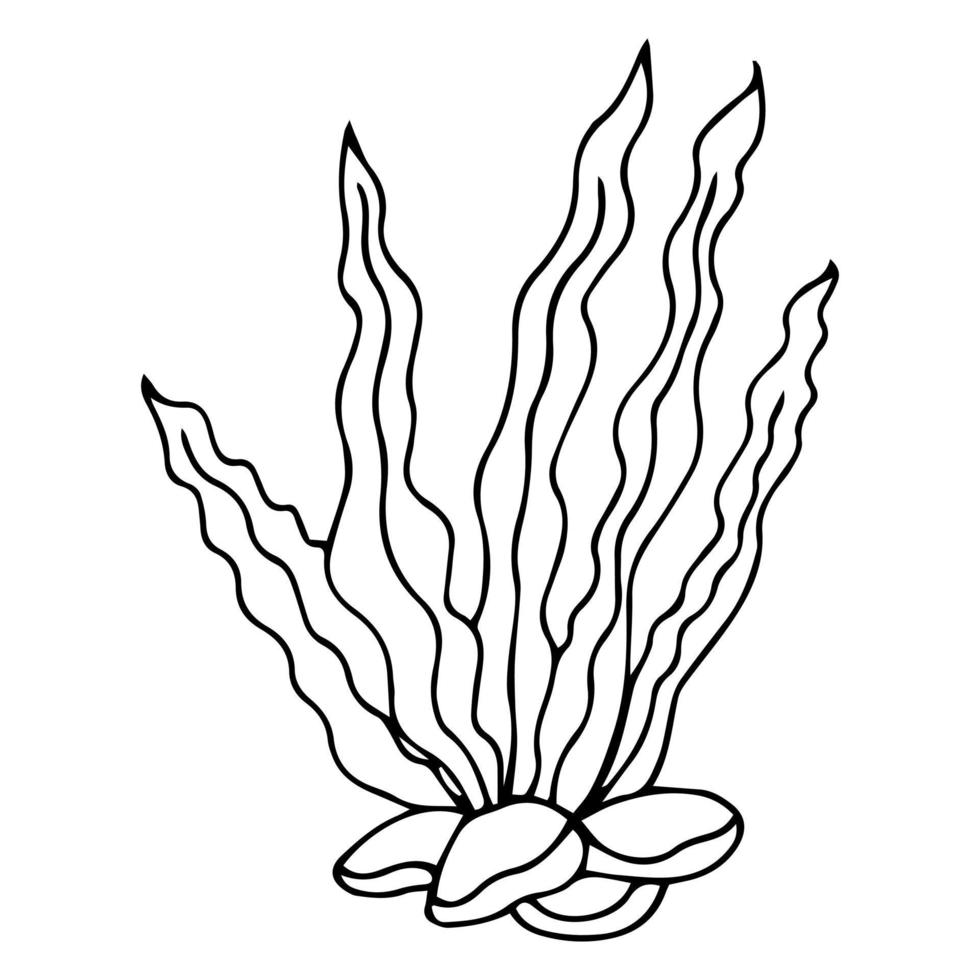 handritad svart och vitt hav doodle skiss illustration. korallerna. vektor