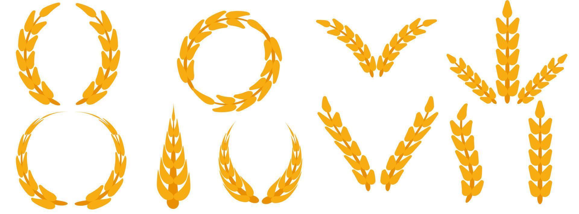 Feldgetreide-Set-Ähren-Weizen-Vektor. Ernte Bauernhof Brot Roggen Landwirtschaft Lebensmittel. getreide gerste isolierte hintergrundpflanze. ernte-symbol goldenes mais-illustrationslogo. Bierstiel aus gelbem Stroh. vektor