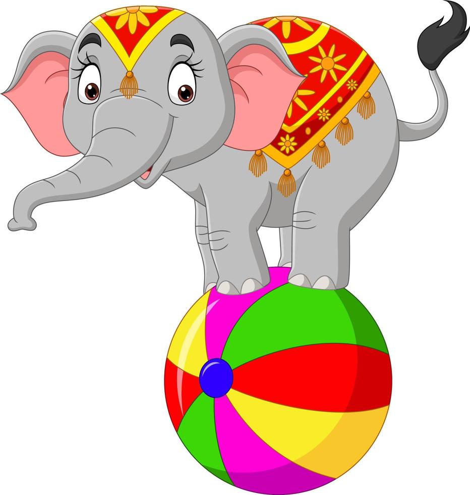 lustiger zirkuselefant der karikatur, der auf ball balanciert vektor