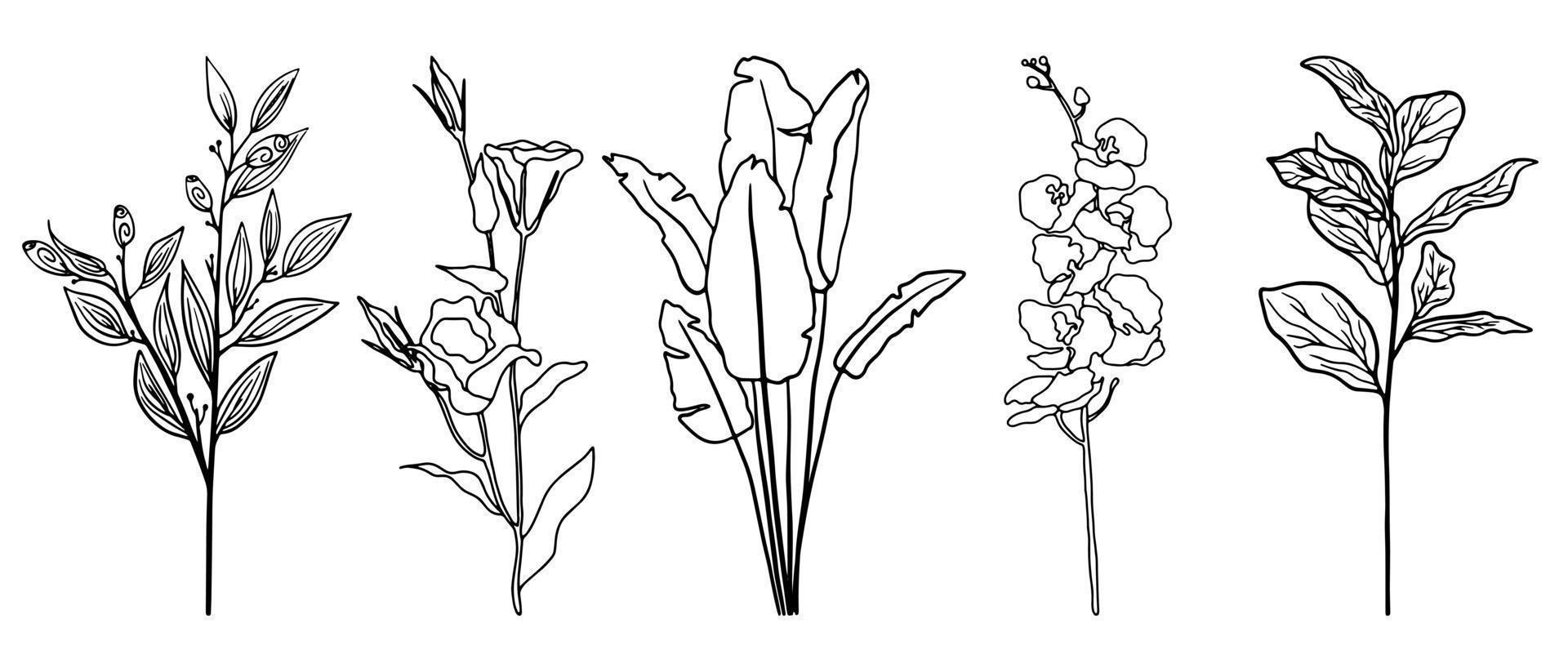vektor uppsättning exotiska blad och blommor ritade i en rad. doodle tropisk blommig illustration. enkel linje palmer set.