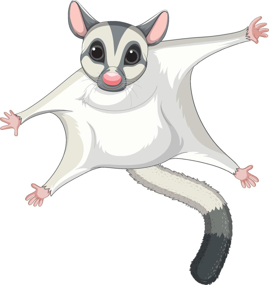 en söt söt sugar glider seriefigur vektor