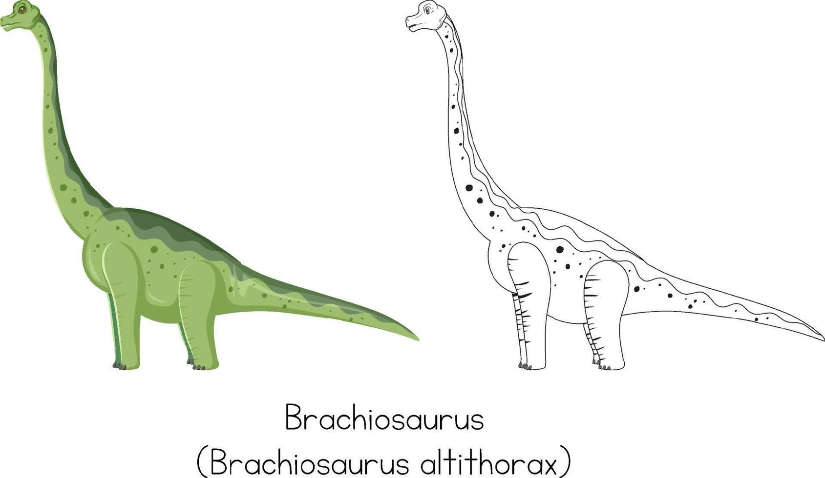 Dinosaurierskizzen von Brachiosaurus vektor