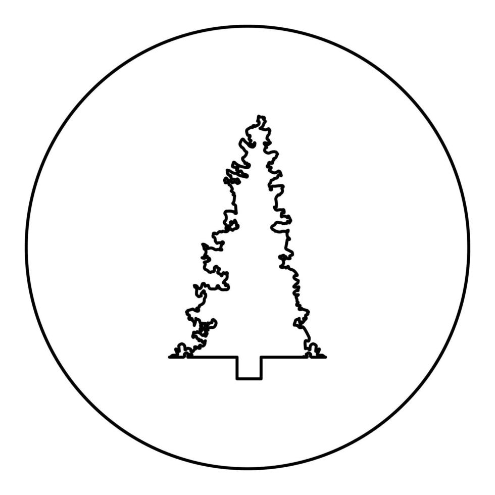 Tanne Weihnachten Nadelholz Fichte Kiefernwald immergrüner Wald Nadelbaum Silhouette im Kreis rund schwarz Farbe Vektor Illustration Kontur Umriss Stil Bild