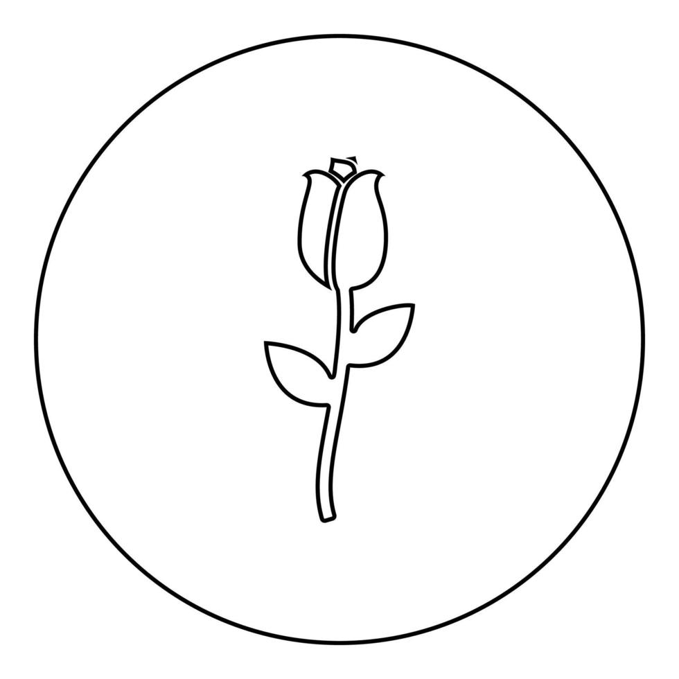 Rose Symbol im Kreis rund schwarz Farbe Vektor Illustration Bild Umriss Konturlinie dünnen Stil