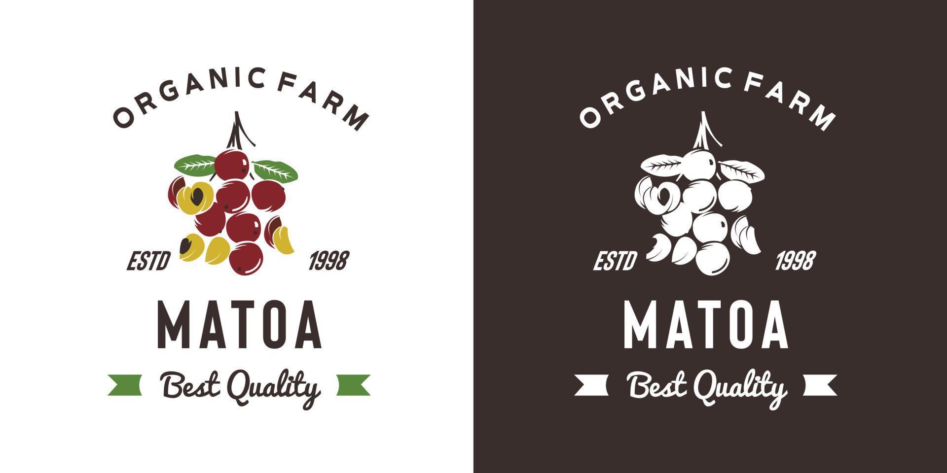 vintage matoa frukt logotyp illustration lämplig för frukt butik och frukt gård vektor