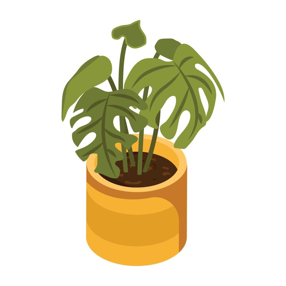 husdekoration, en isometrisk ikon av växt vektor