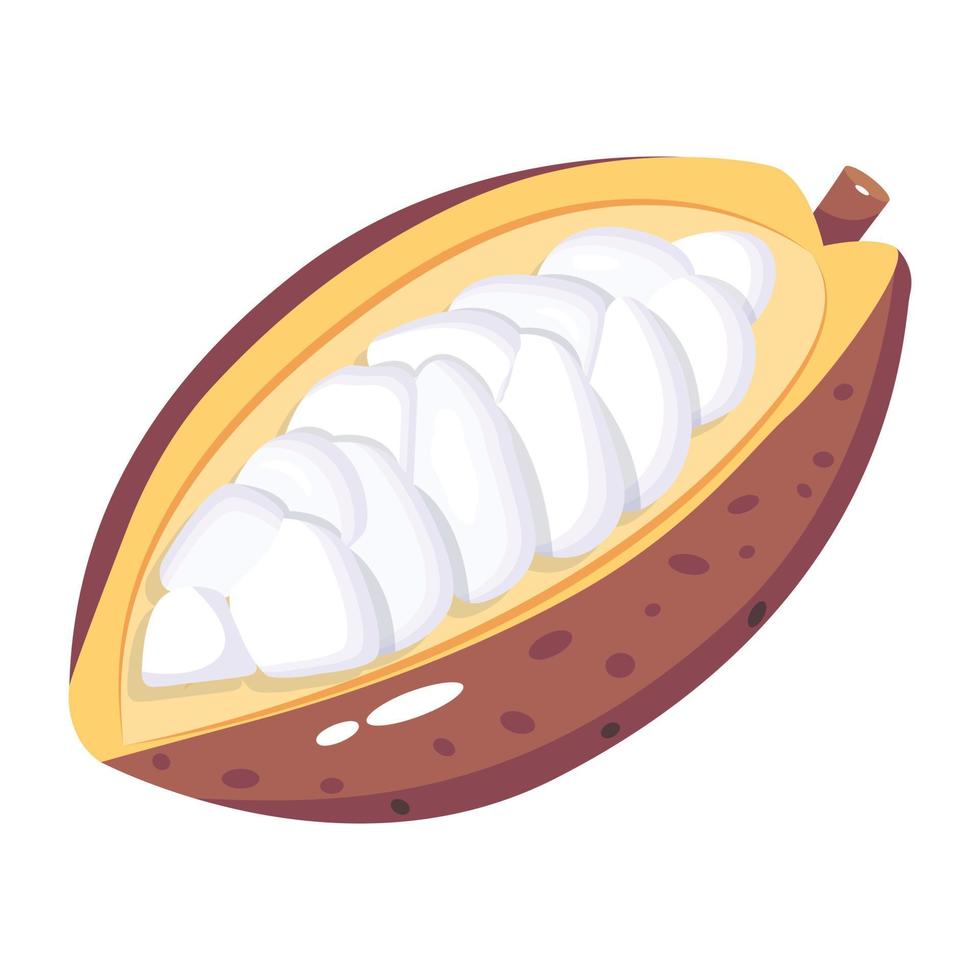 en isometrisk ikon av kakaofrön, frisk frukt vektor