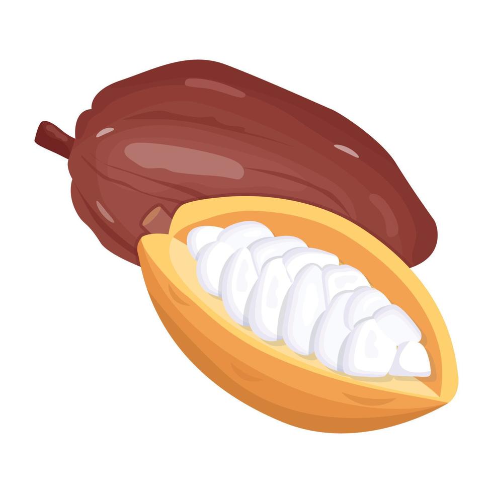 eine isometrische ikone von kakaosamen, gesunde frucht vektor