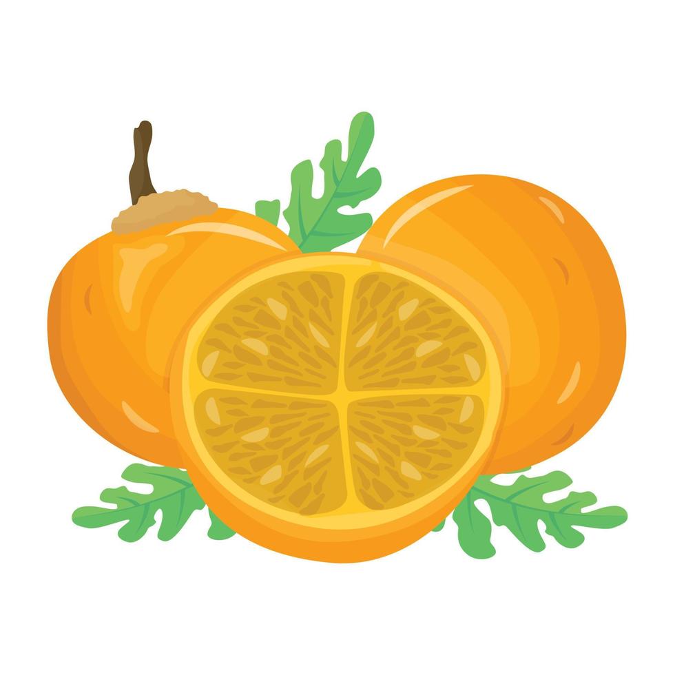 Zitrusfrucht, eine isometrische Ikone der Mandarine vektor