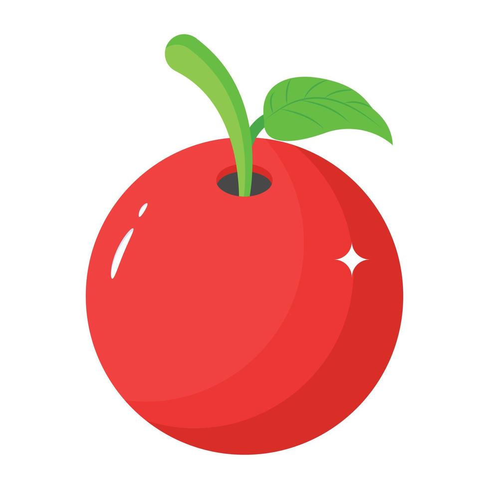en isometrisk ikon av körsbär är skalbar och lätt att använda vektor