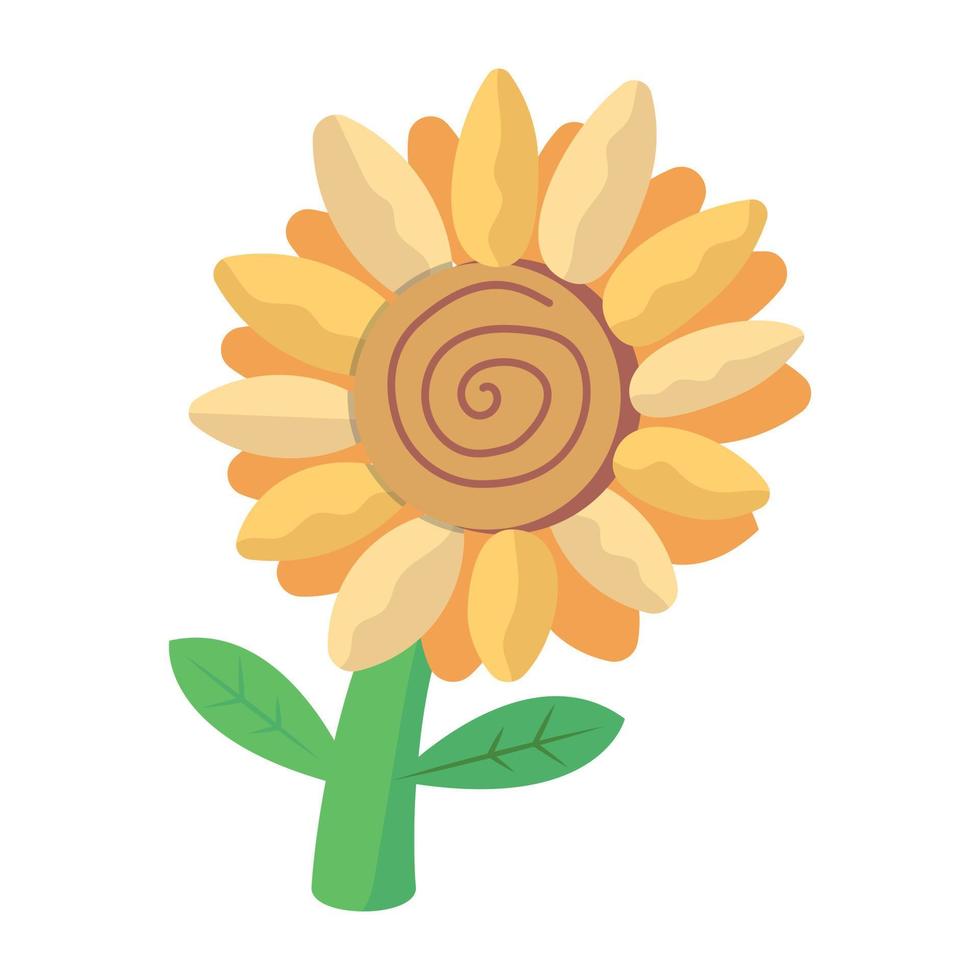 eine trendige isometrische Ikone der Sonnenblume, hochwertige Grafiken vektor
