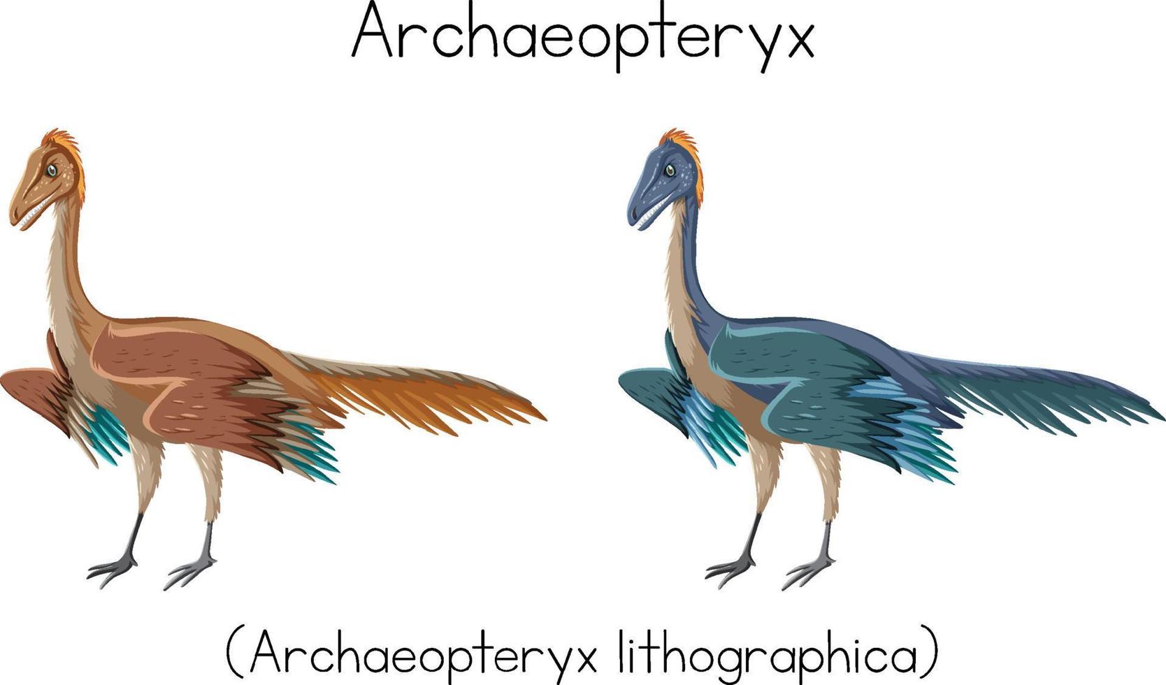 Archaeopteryx in zwei Farben vektor