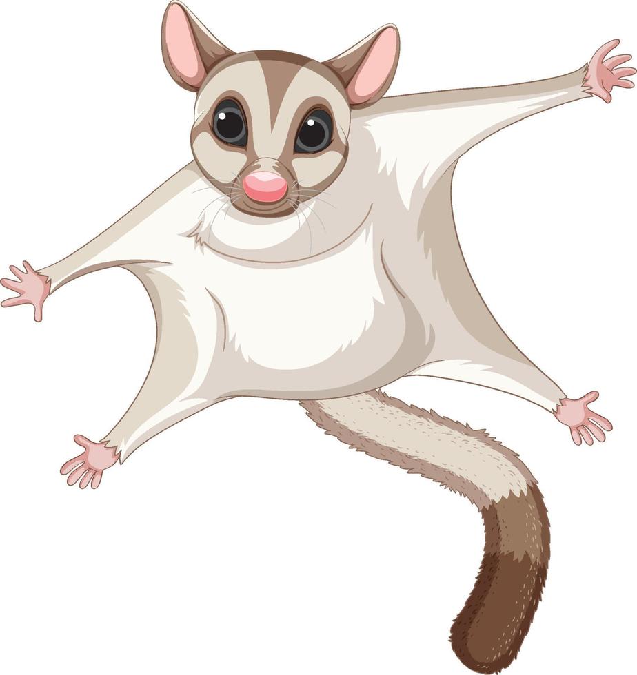 en söt söt sugar glider seriefigur vektor