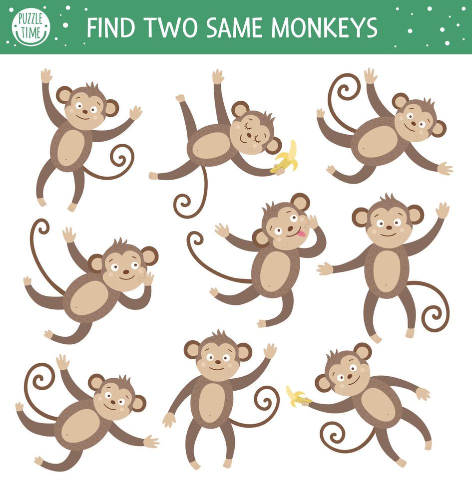 Finden Sie zwei gleiche Affen. tropische Matching-Aktivität für Vorschulkinder mit niedlichen Tieren. lustiges Dschungelpuzzle für Kinder. Logisches Quiz-Arbeitsblatt. einfaches Sommerspiel für Kinder vektor