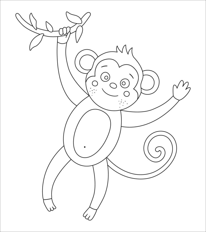 Vektor süßer Affe, der an einem Baum-Brunch-Umriss hängt. lustige tropische exotische tierschwarzweissillustration. lustige Malvorlagen für Kinder. Dschungel-Sommer-ClipArt