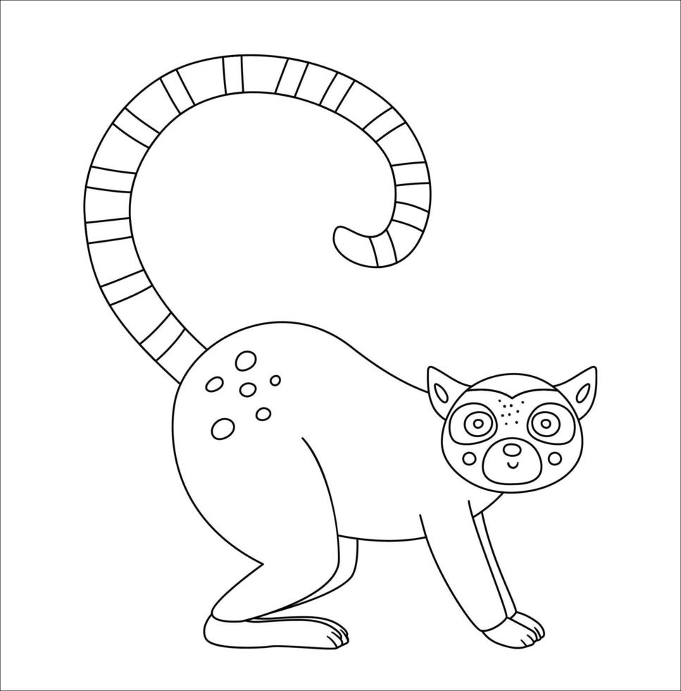 vektor söt lemur kontur. roliga tropiska exotiska djur svartvit illustration. rolig målarbok för barn. djungel sommar clipart