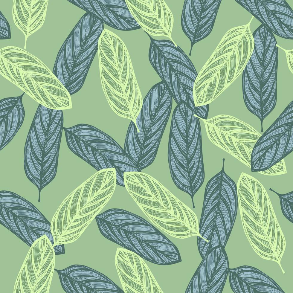 alocasia lämnar seamless pattern.vintage tropisk gren i gravyr stil. vektor