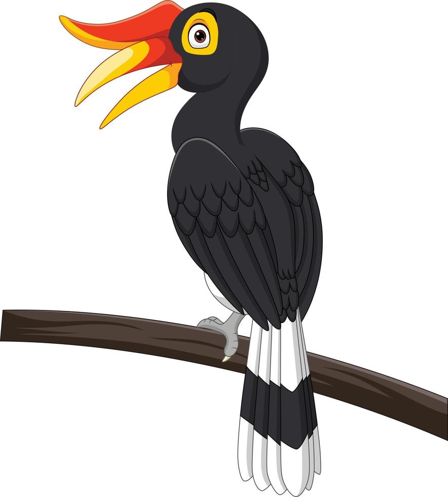 Cartoon Hornbill Vogel isoliert auf weißem Hintergrund vektor