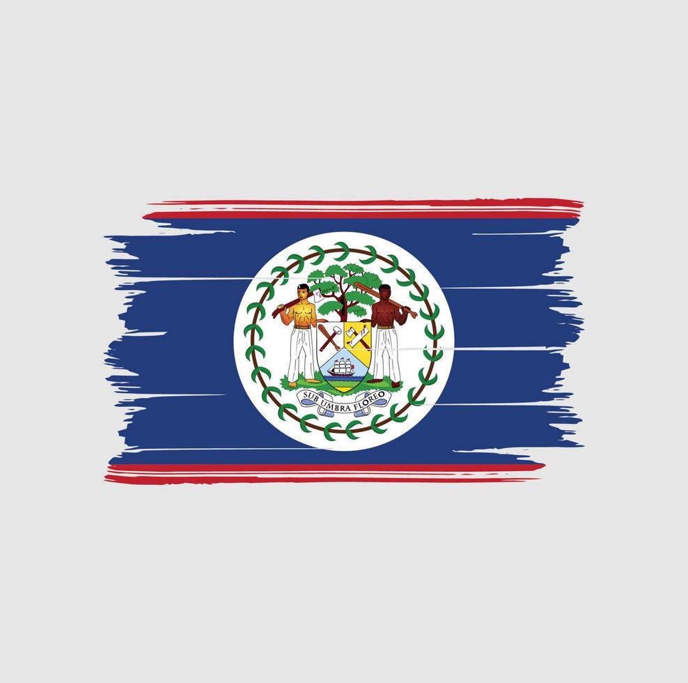 belize flagga borste. National flagga vektor