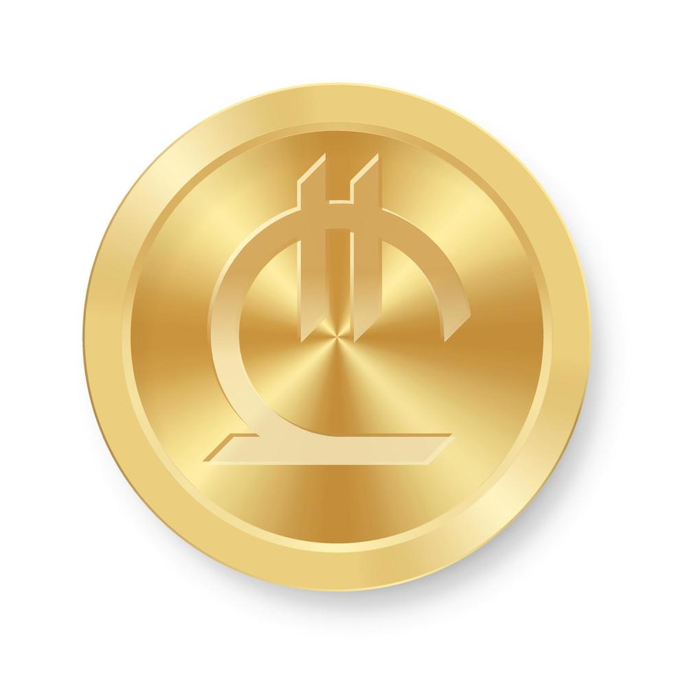 guld lari mynt koncept av internet webbvaluta vektor