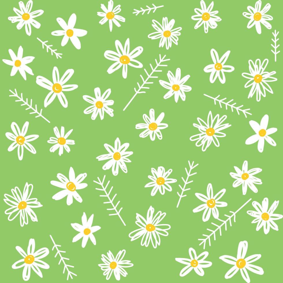 Kamille Blumenmuster in kleinen weißen Blüten. Blumennahtloser Hintergrund von Gänseblümchen für Modedrucke. nahtlose Vektortextur. frühlingsstrauß im skizzenstil auf grün vektor