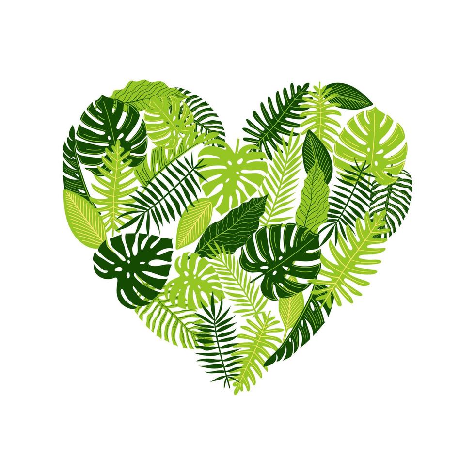vektor hjärtformad botanisk illustration med monstera, palm och ormbunke blad. tropiska växter, gå grön design