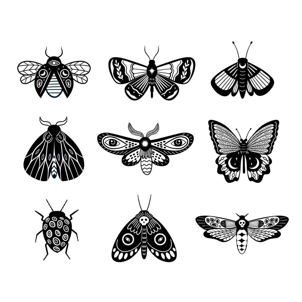uppsättning av svarta och vita moderna magiska fjärilar och nattfjärilar vektor