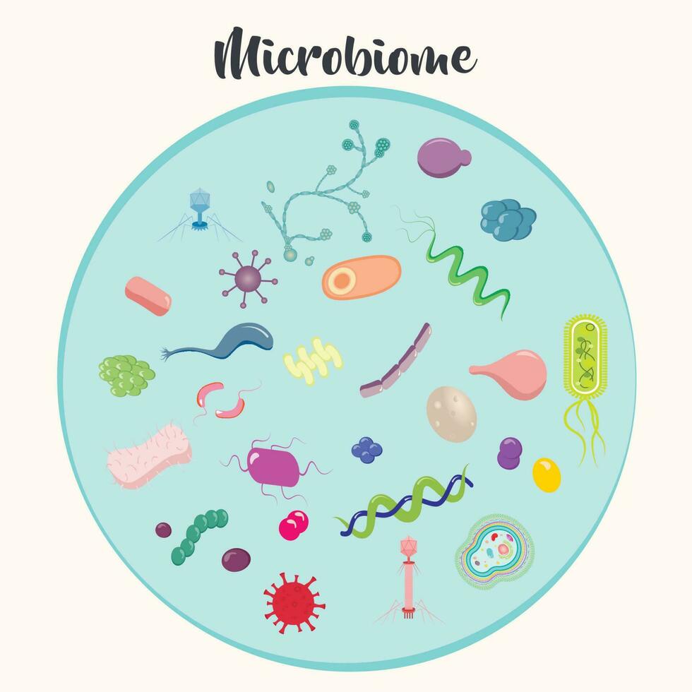 Hintergrund der Mikrobiom-Vektorillustration vektor