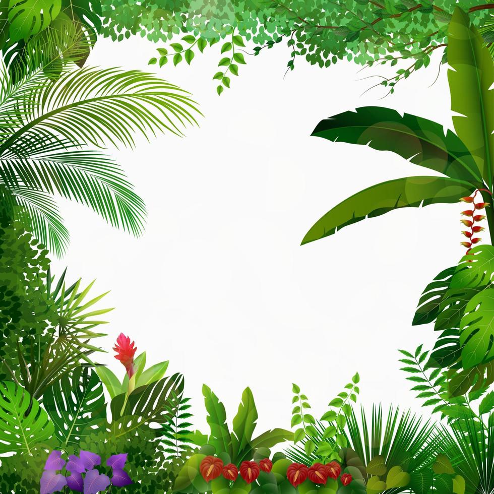 tropischer Dschungel auf weißem Hintergrund vektor