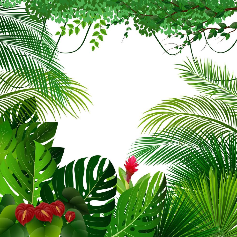 tropischer Dschungelhintergrund vektor