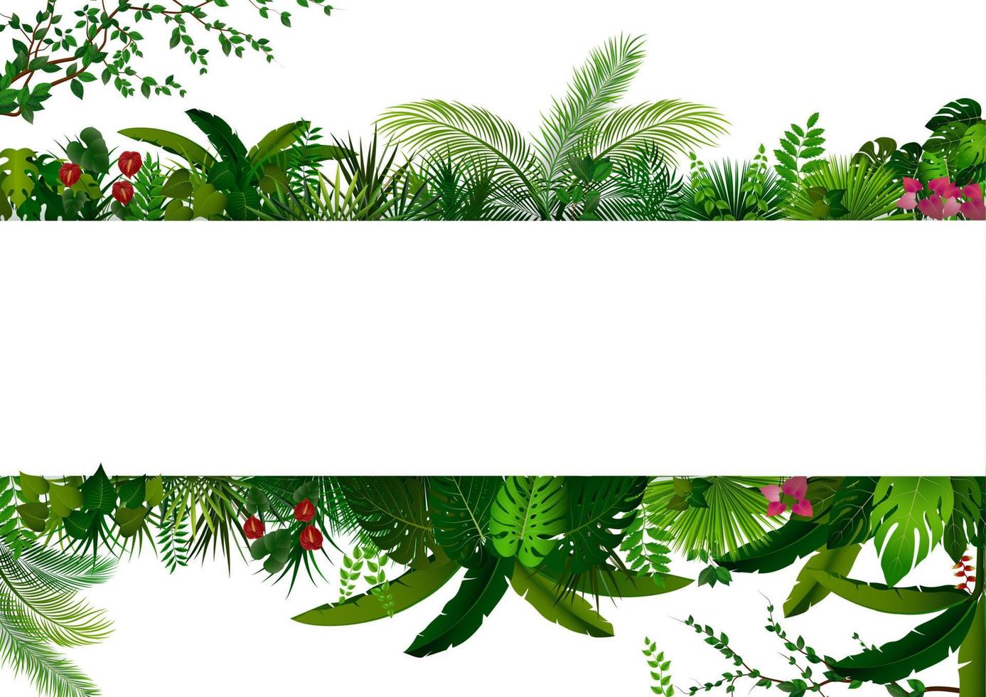 tropiska löv bakgrund. rektangel växtram med plats för text. tropiskt lövverk med horisontell banderoll vektor
