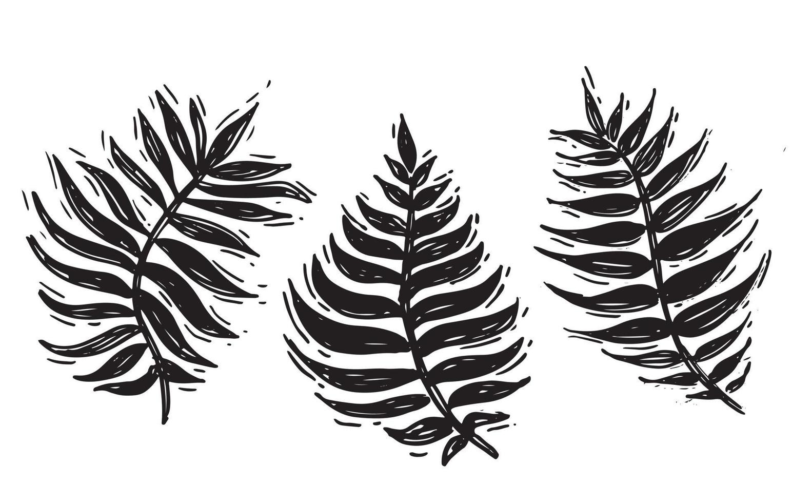 palmgren set, handritad illustration vektor